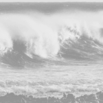 Welle 5 3er sw