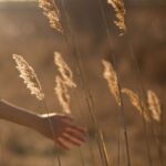 Emotionswellen nicht gegen Wellen